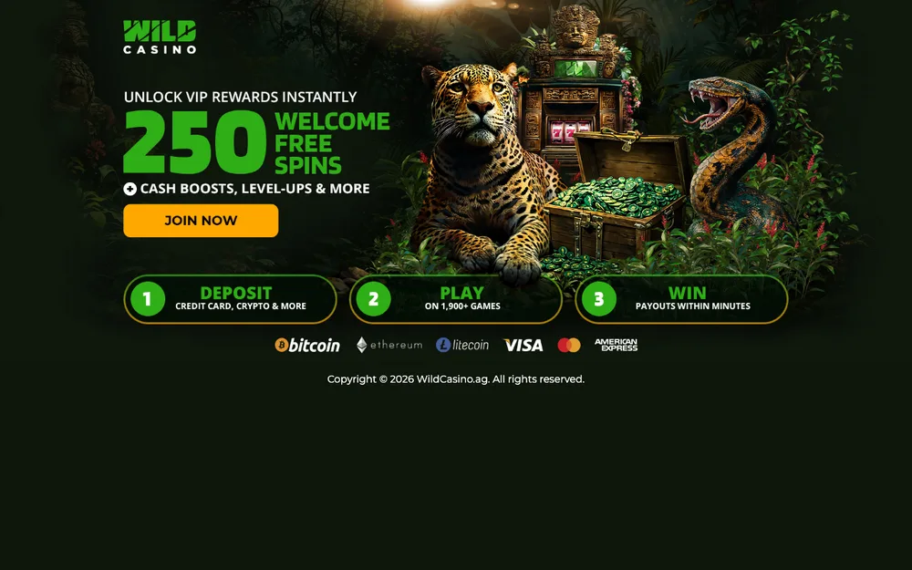 Wild Casino casino site and 250% up to $1,000 welcome offer for Wisconsin players